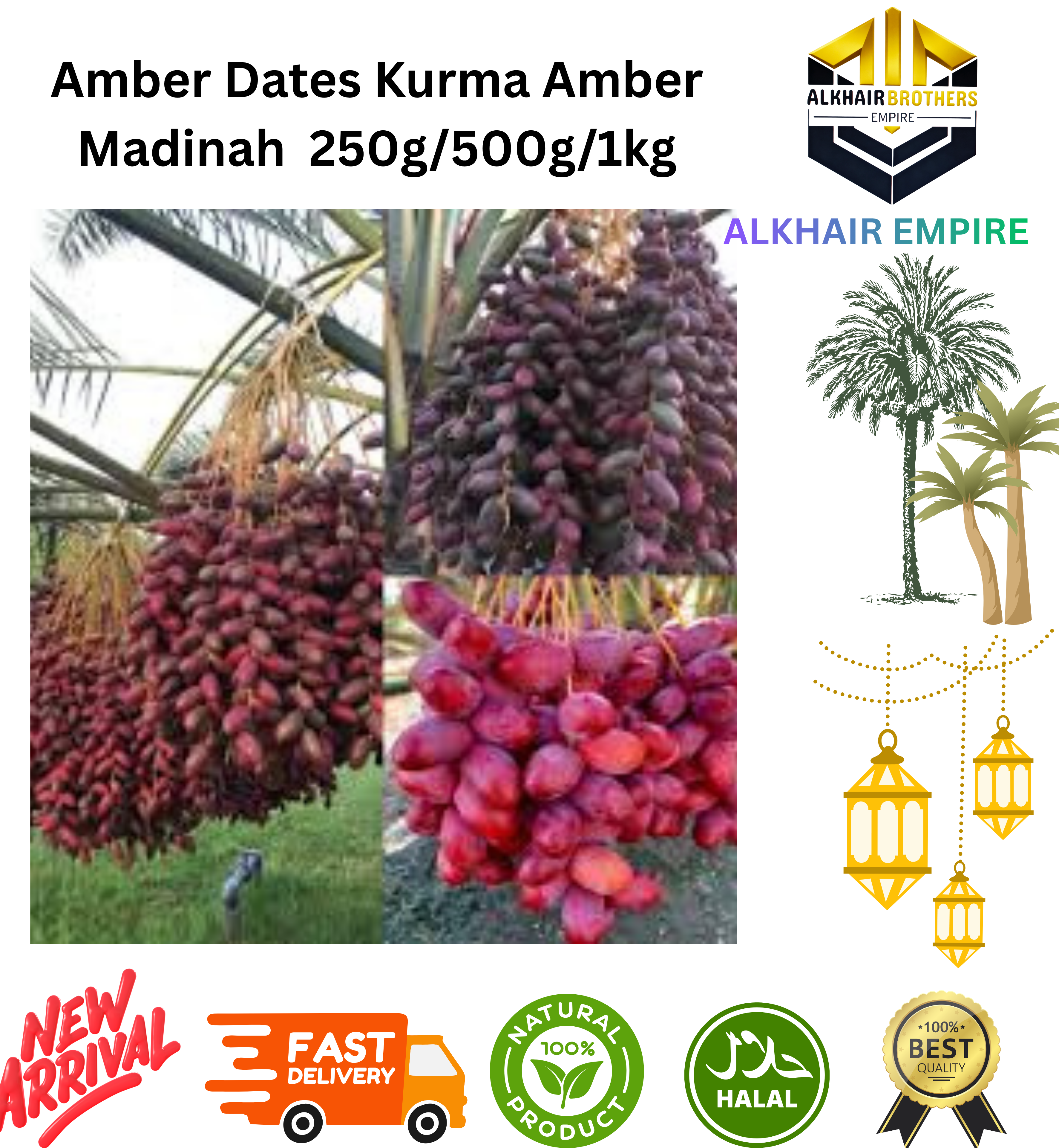 Amber Dates Kurma Amber Madinah  250g/500g/1kg