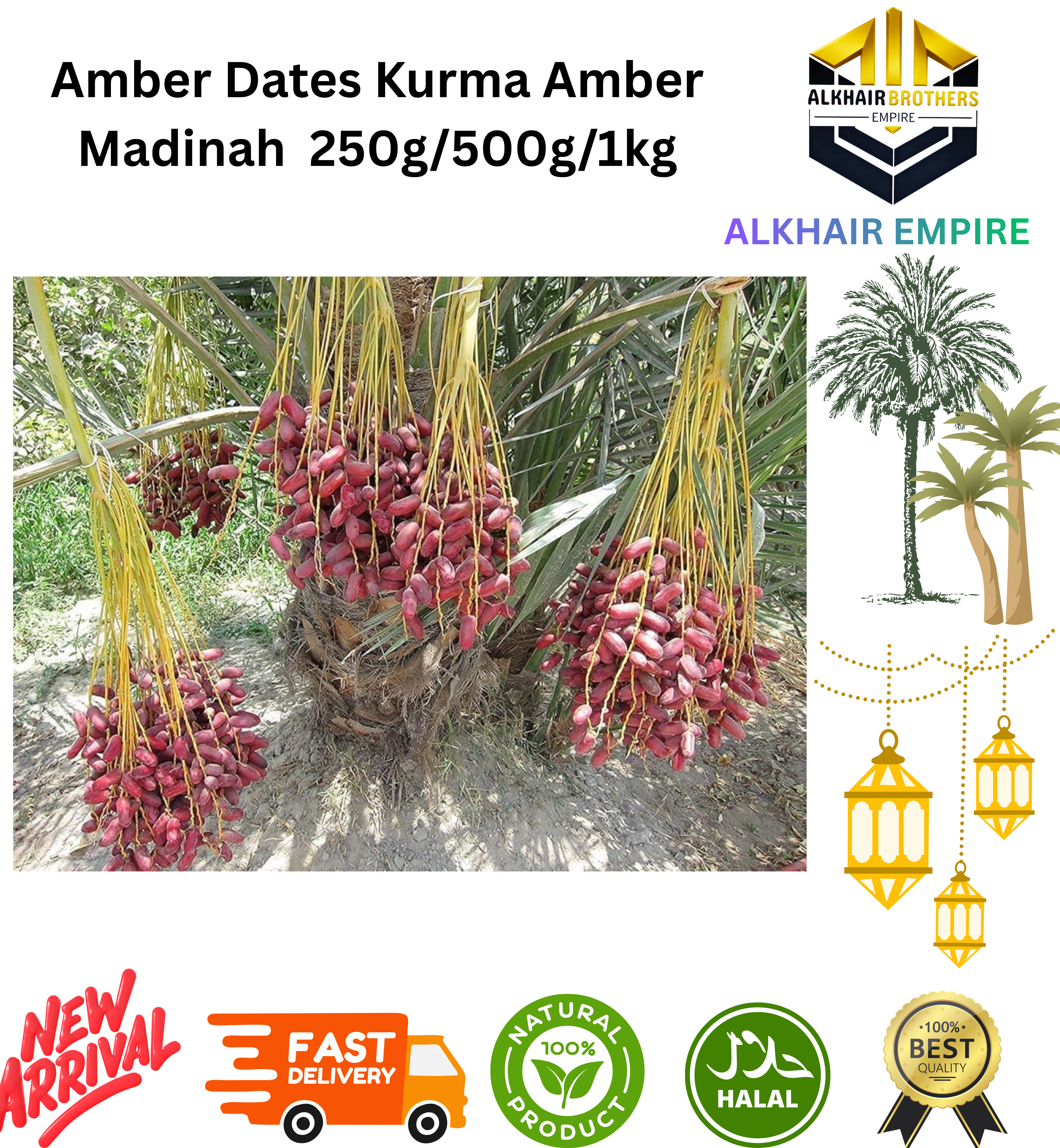 Amber Dates Kurma Amber Madinah  250g/500g/1kg