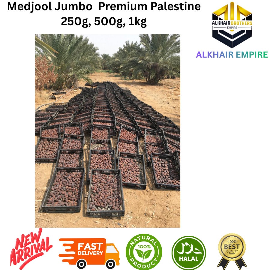 Medjool Jumbo Premium from Palestine Dates 250g 500g 1kg Halal Natural Product New Arrival Fast Delivery Best Quality