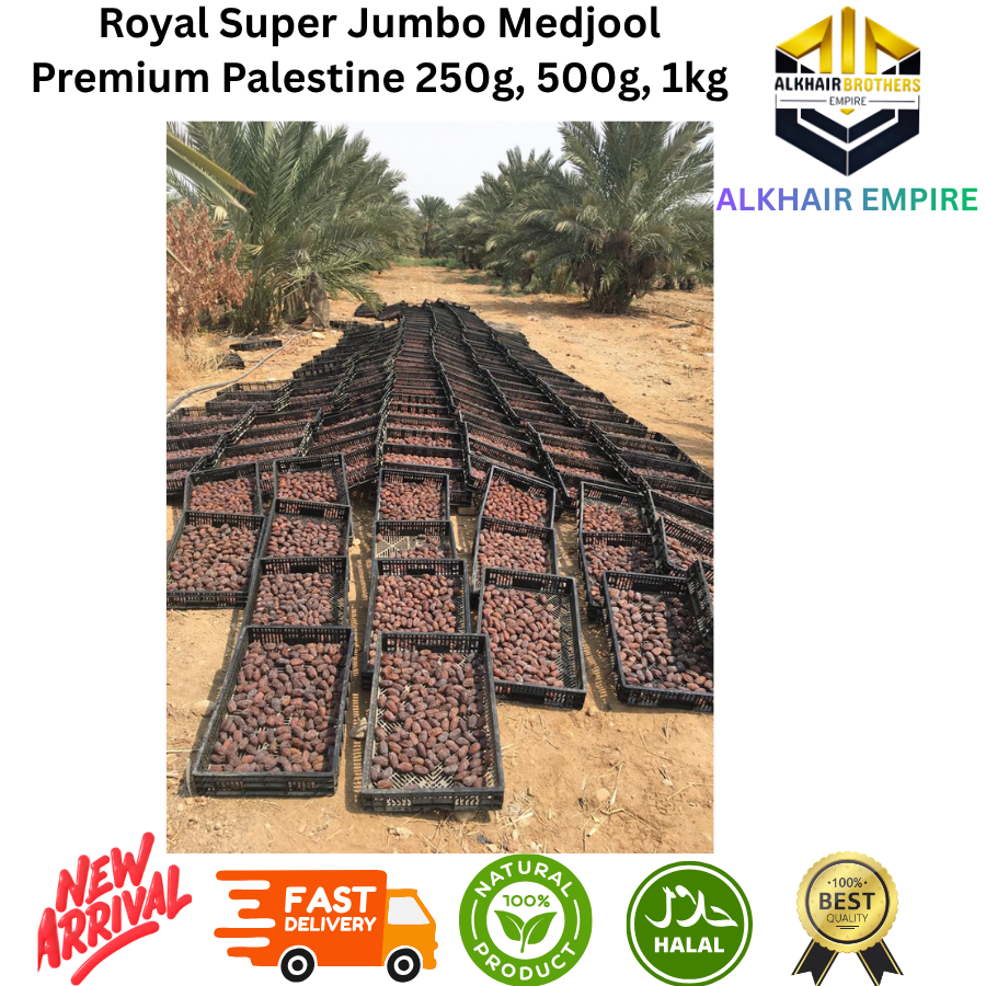 Royal Super Jumbo Medjool Palistine Dates 250g 500g 1kg 100% Natural Halal New Arrival Fast Delivery